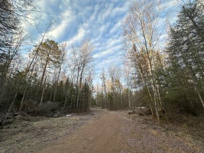 4073 E Buckatabon Rd, Conover, Wisconsin 54519, Estados Unidos