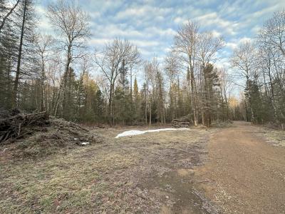 4073 E Buckatabon Rd, Conover, Wisconsin 54519, Estados Unidos