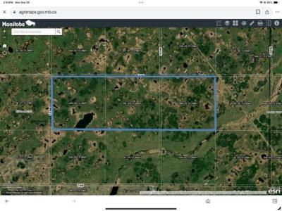 UNKNOWN, Elkhorn, Manitoba R0M 0N0, Canada