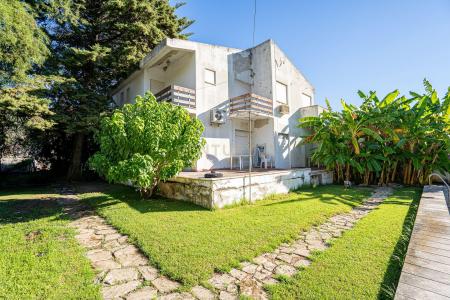 Vila Franca De Xira, ליסבון 2625-474, פורטוגל