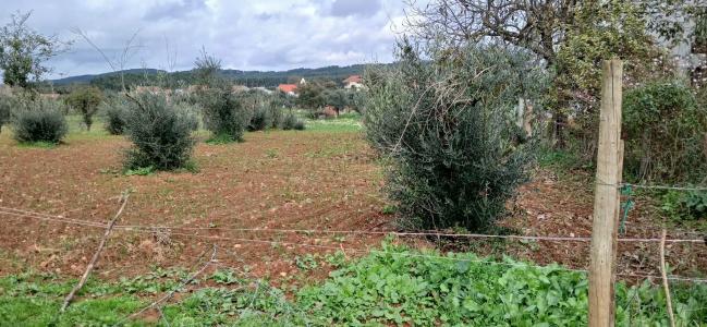 Ferreira Do Zêzere, Santarem 2240-040, Bồ Đào Nha