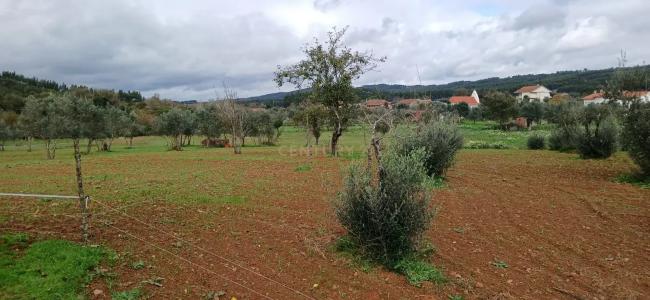 Ferreira Do Zêzere, Santarem 2240-040, Bồ Đào Nha