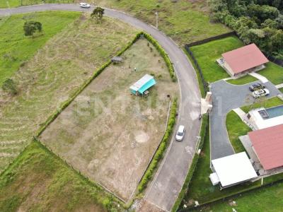 Palmira, Valle Del Cauca 00001, Kolumbia