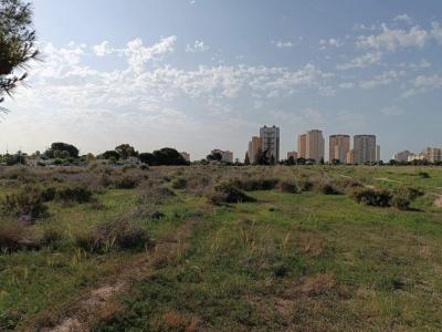 Alacant/Alicante, Comunitat Valenciana 03550, Spain