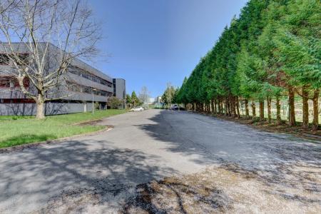 Gipuzkoa, País Vasco/Euskadi 20829, İspanya