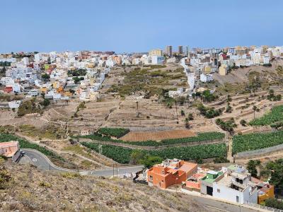 Las Palmas, Canarias 35015, España