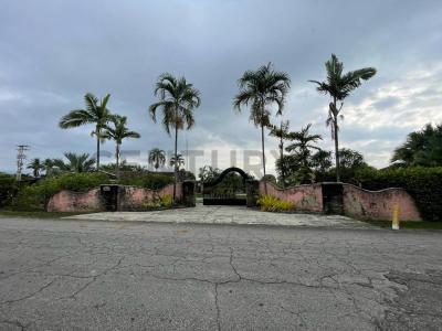 Tocuyito, Carabobo 2035, فنزويلا