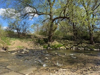 Jestřabí, Zlín 76333, Czech Republic