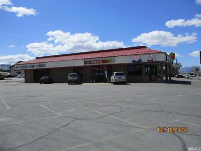 1139 W Winnemucca Boulevard, Winnemucca, Nevada 89445, USA