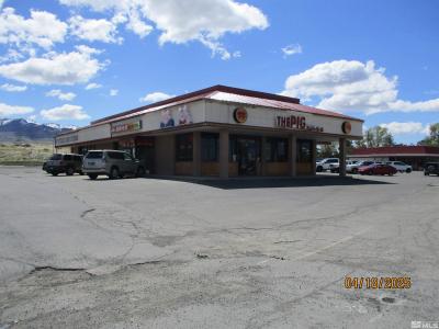 1139 W Winnemucca Boulevard, Winnemucca, Nevada 89445, USA