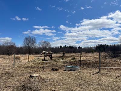 36358 State Hwy 6, Deer River, Minnesota 56636, USA