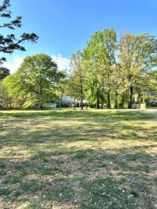 1008 Oak Street, Mountain View, Arkansas 72560, HOA KỲ