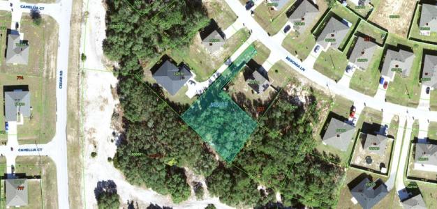 224 Begonia Lane, Poinciana, Floryda 34759, USA