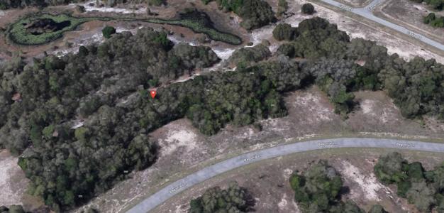 224 Begonia Lane, Poinciana, Floride 34759, États-Unis