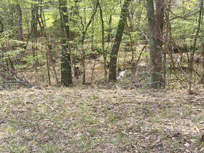 TBD Rainbow Drive, Hardy, Arkansas 72542