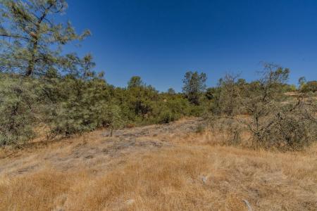 Brandy Lane, Burson, Califórnia 95225, Estados Unidos