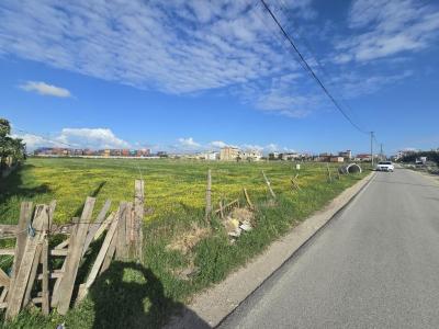 Spitallë, Durrës, Albania