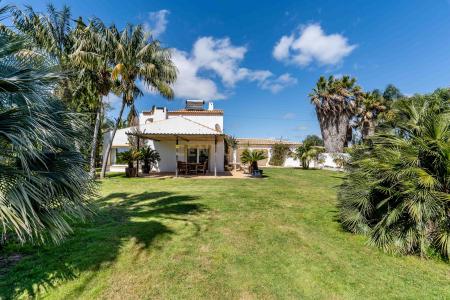 Lagoa, Faro 8400-337, Portugal