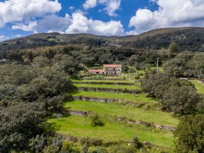 Monchique, فارو 8550-364, البرتغال