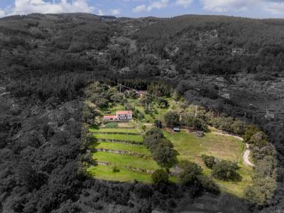 Monchique, פארו 8550-364, פורטוגל 