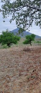 Allende, Nuevo León 67350, Mexico