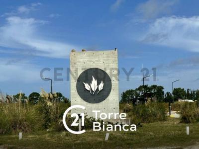 EL SALVAJE CHACRAS MARITIMAS LOTE 250, Villa Gesell, Buenos Aires Costa Atlántica 7165, 阿根廷