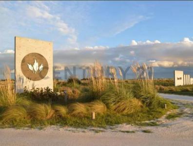 EL SALVAJE CHACRAS MARITIMAS LOTE 250, Villa Gesell, Buenos Aires Costa Atlántica 7165, Argentina