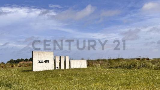 EL SALVAJE CHACRAS MARITIMAS LOTE 250, Villa Gesell, Buenos Aires Costa Atlántica 7165, Argentina