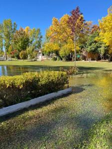 BERTANI SUR 1300, Las Paredes, Mendoza 5601, Argentina