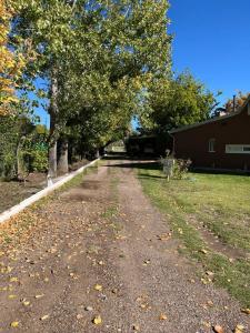BERTANI SUR 1300, Las Paredes, Mendoza 5601, Argentine