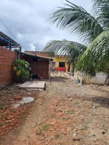 AV VIRGEN DE LUJAN ZONA EL BATEON , BARRIO GERMAN BUSCH , Este, Santa Cruz 00001, Bolivia