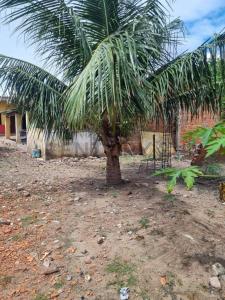 AV VIRGEN DE LUJAN ZONA EL BATEON , BARRIO GERMAN BUSCH , Este, Santa Cruz 00001, Bolivia