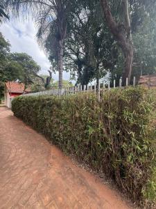 Primero de Marzo , Luque, Central 00001, Le Paraguay