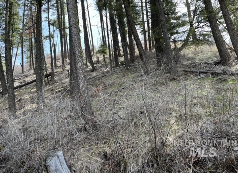 Tbd State Highway 129, Anatone, Washington 99401