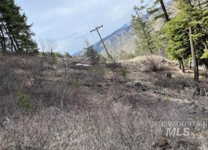 Tbd State Highway 129, Anatone, Washington 99401