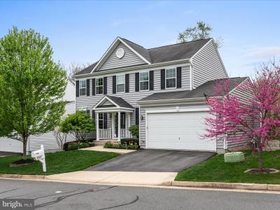 35517 Hudson Street, Round Hill, Virgínia 20141, Estados Unidos