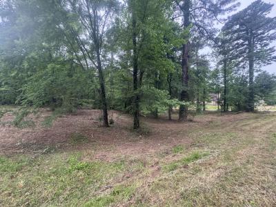 0 Holly Creek Rd., Texarkana, Texas 75503, Estados Unidos