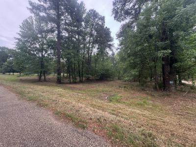 0 Holly Creek Rd., Texarkana, Texas 75503