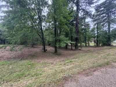 0 Holly Creek Rd., Texarkana, Texas 75503