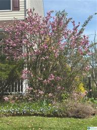 21 Millbrook Ct, Easton, Pennsylvania 18045