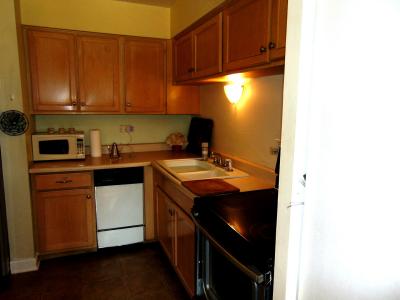 2419 E Olive Street , 1G, Arlington Heights, Illinois 60004, Amerika Birleşik Devletleri