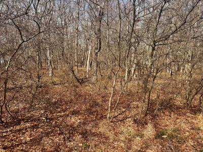Lot # 108 Cottonwood, Jim Thorpe, 賓夕法尼亞州 18229, 美國