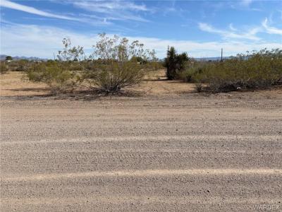 000 Hunt, Golden Valley, Arizona 86413