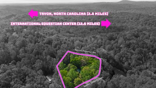 447 Cherokee Circle, Tryon, Caroline Du Nord 28782, États-Unis