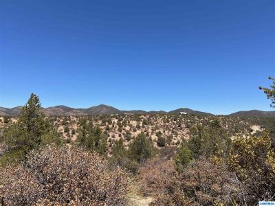 26 Babbling Brook Rd, Silver City, NM 88061, USA