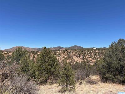 XX Babbling Brook Rd, Silver City, NM 88061, USA