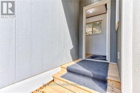 158 EASTSIDE TROUT LAKE LANE, Madawaska Valley, Ontario K0J 1B0, Canadá