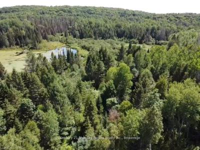 6845 HIGHWAY 63 N/A, North Bay, Ontario P1B 8G4, CANADÁ