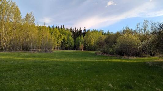 70420 RANGE ROAD 245 ROAD, Rural Greenview No. 16, M.d. Of, Alberta T0H 0Y0, Canada