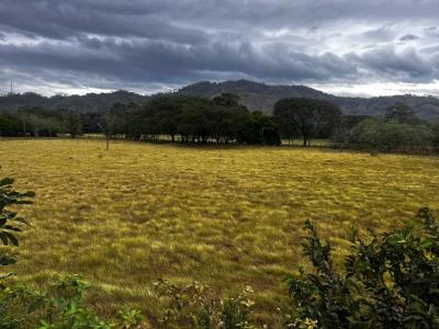 Santa Cruz Santa Cruz, Guanacaste 50301, Costa Rica